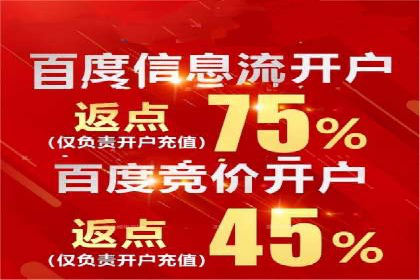 SEM搜索引擎优化案例：如何提升网站流量和转化率